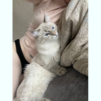 ��� ������� ����� �������� ����� � ������ ��������� 