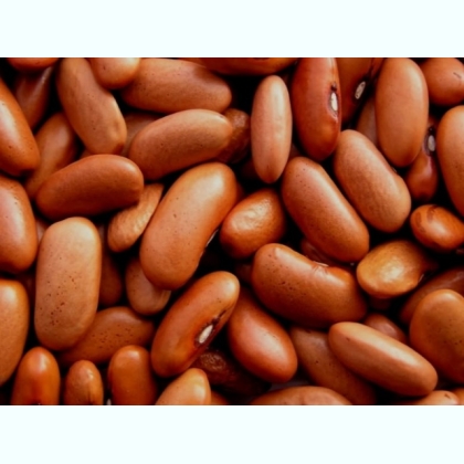 ������� ������� �����������, ˳��, �������, �������� �� ��